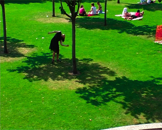 plongée arbres 2 svastika